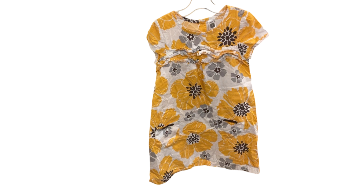 Carter's Dress 6