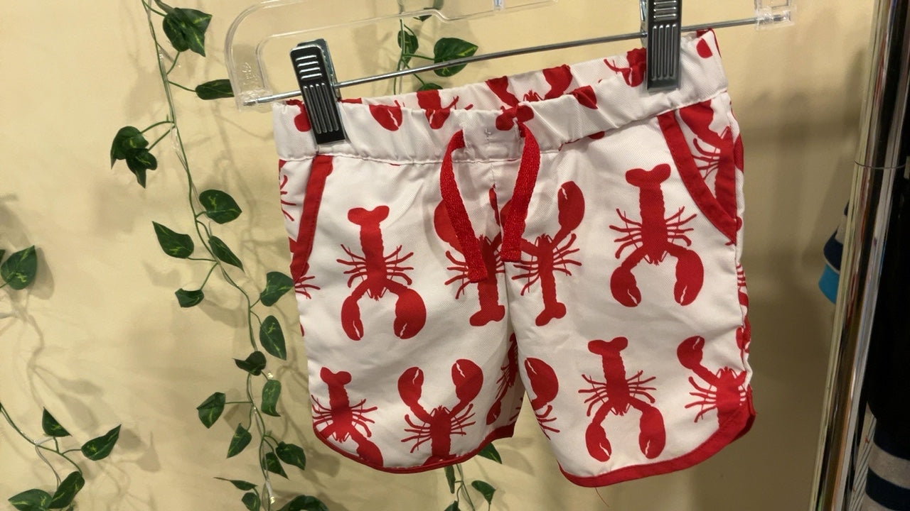 Monica & Andy Swim Trunks 12-18 months