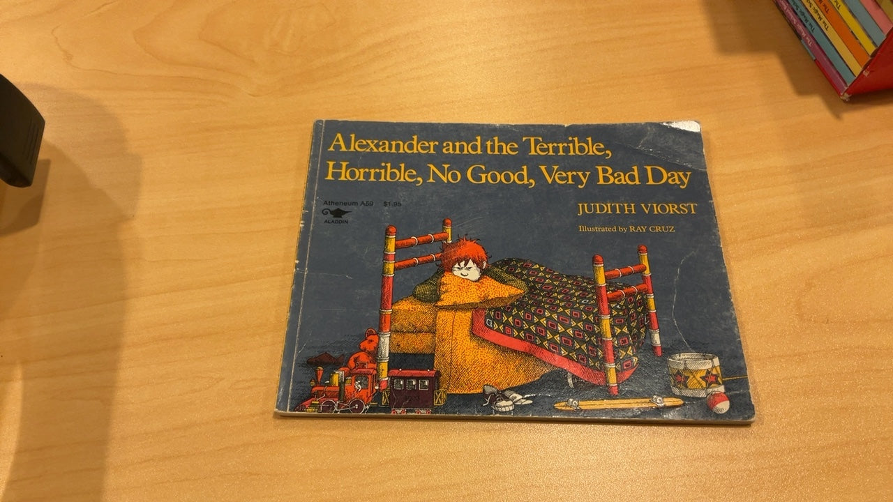 Alexander and the Terrible, Horrible, No Good, Very Bad Day Book