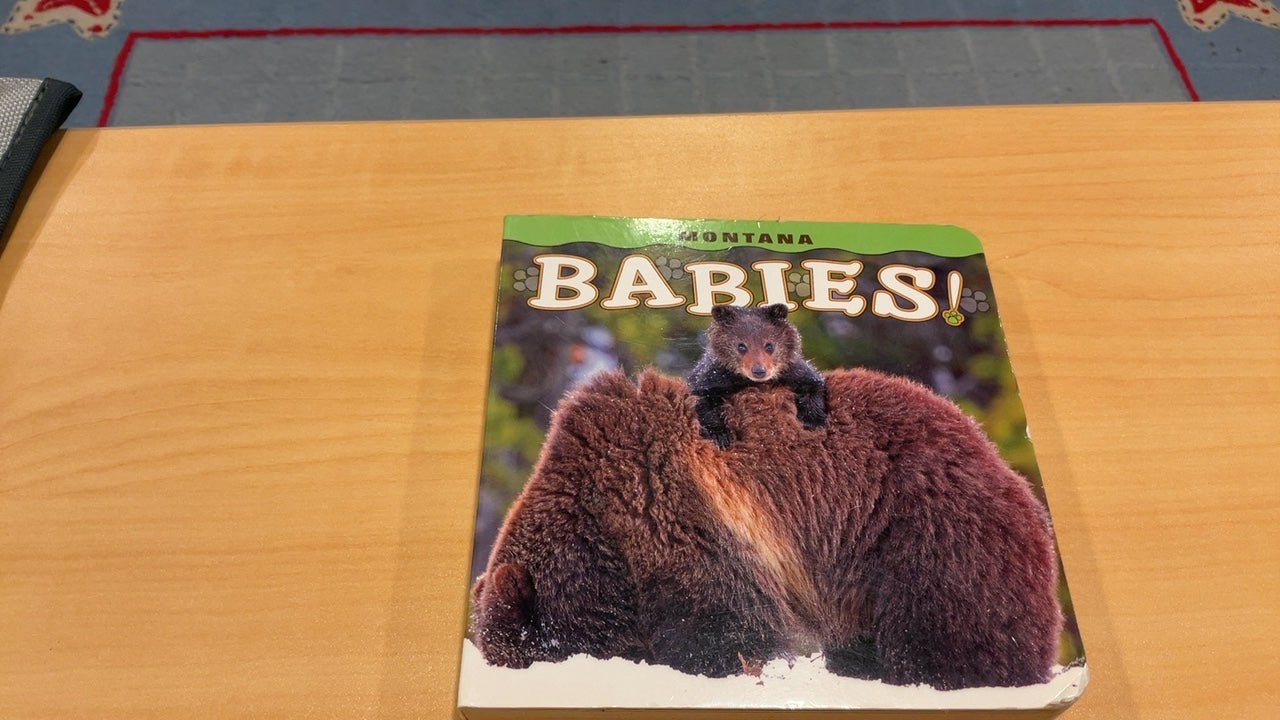 Montana Babies Book