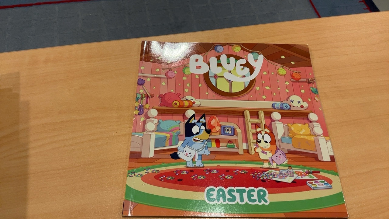 Bluey Book