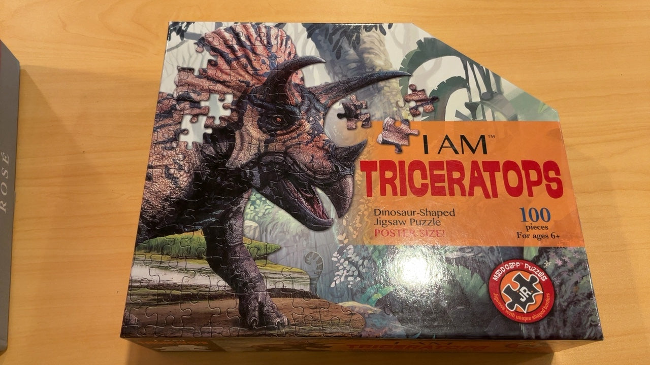 JRS Puzzle