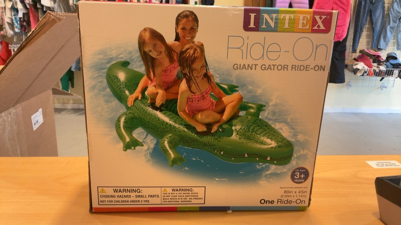 Intex Inflatable Toy