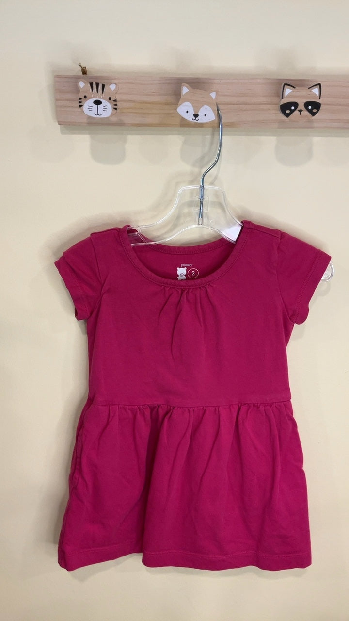 Primary Dress | Size 2T