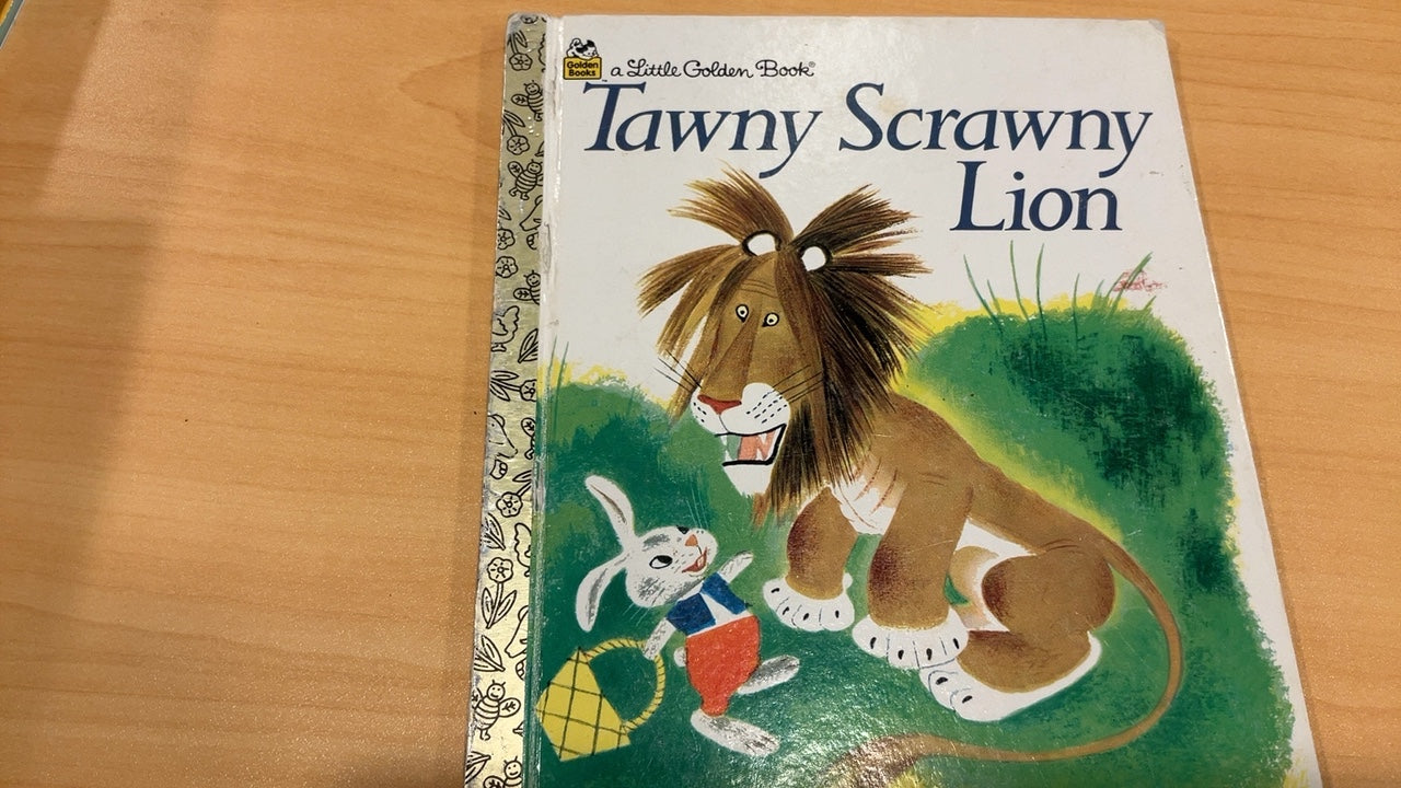 Tawny Scrawny Lion