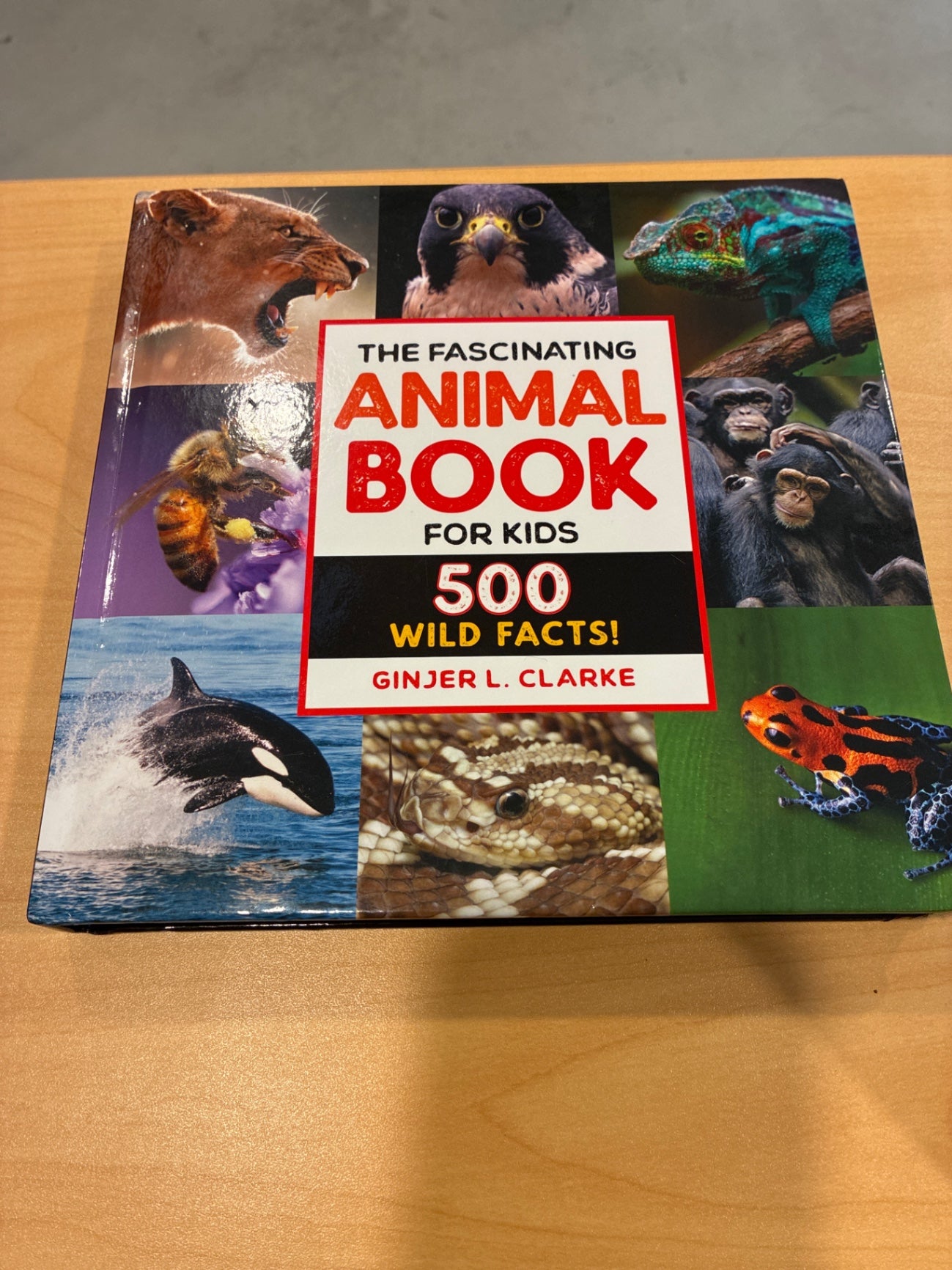 Fascinating Animals 