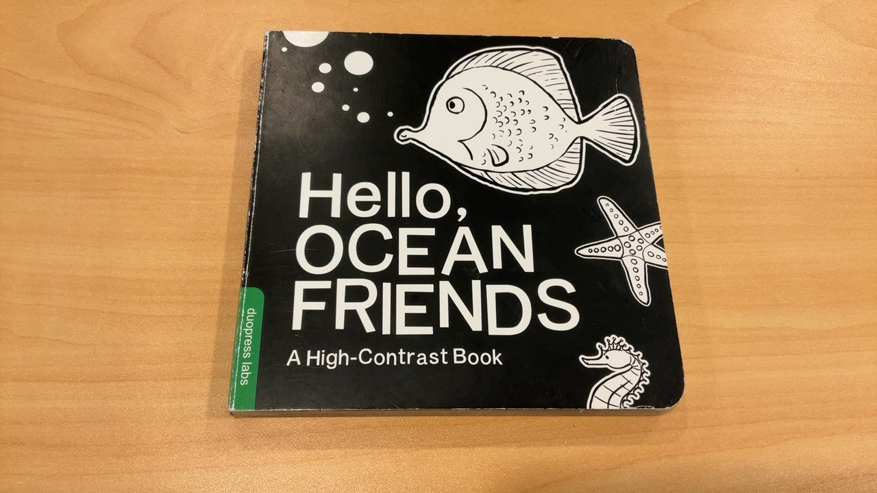 Hello, Ocean Friends