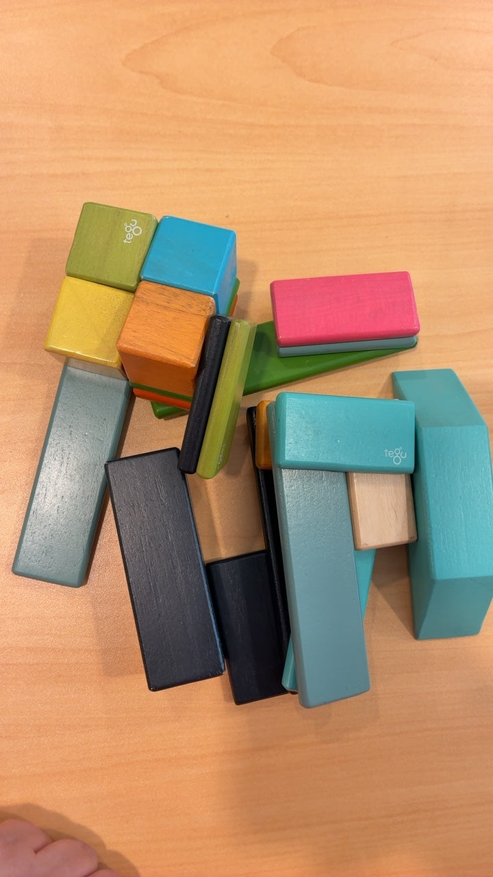 Tegu | Magnetic Wooden Blocks