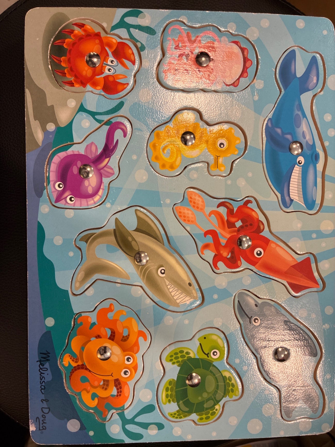 Melissa & Doug Magnetic Puzzle
