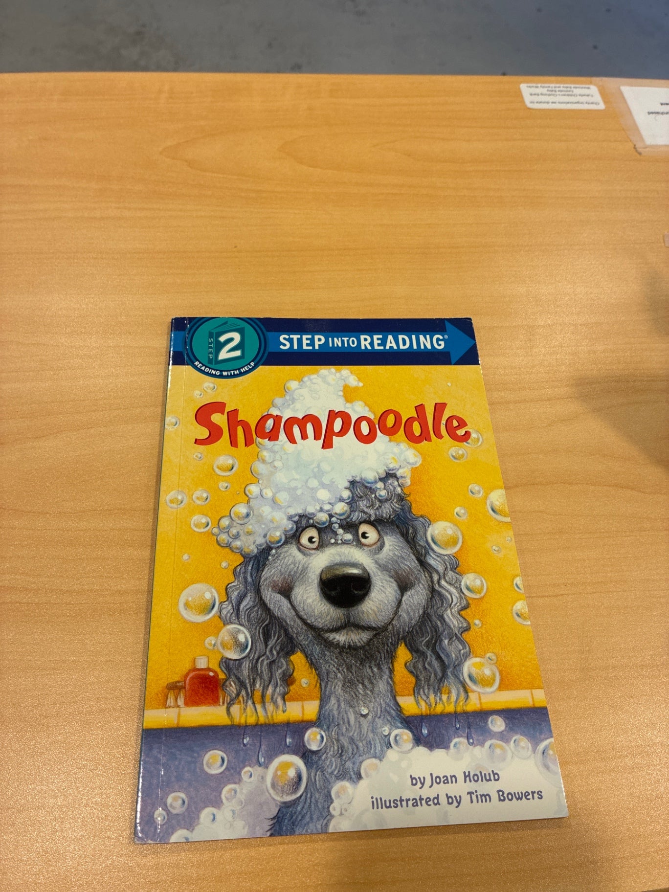 Shampoodle