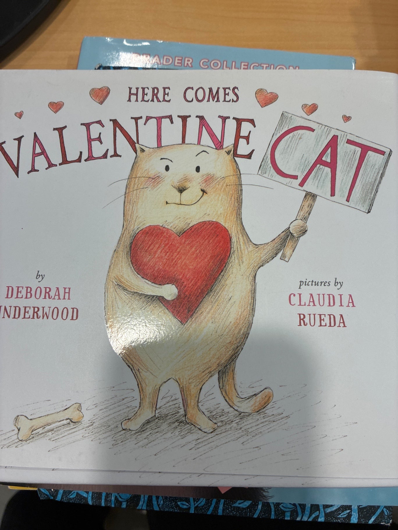 Here Comes Valentine Cat