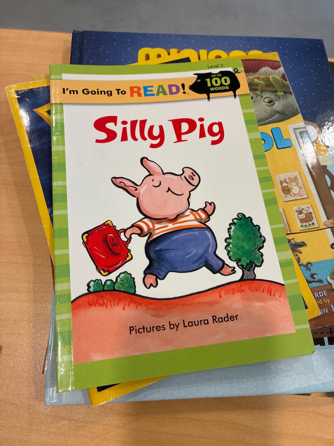 Silly Pig