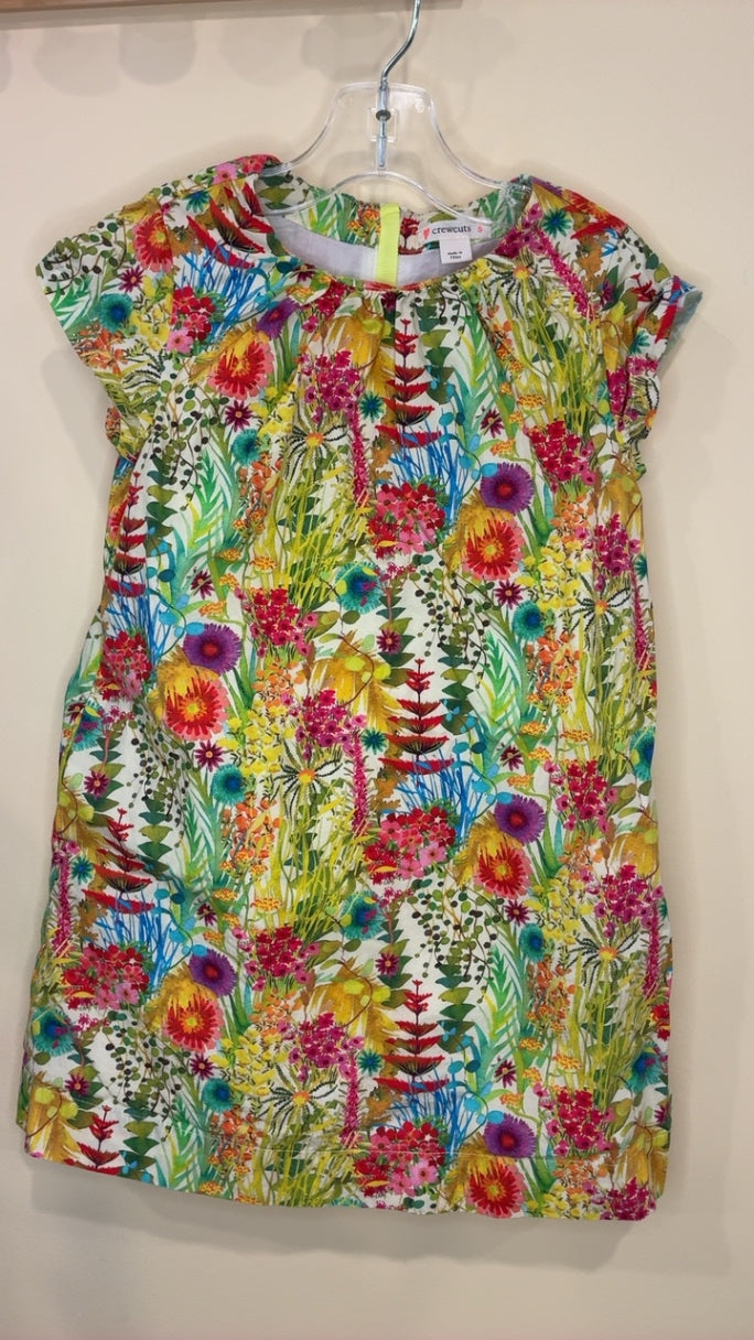 Crewcuts Dress | Size 5