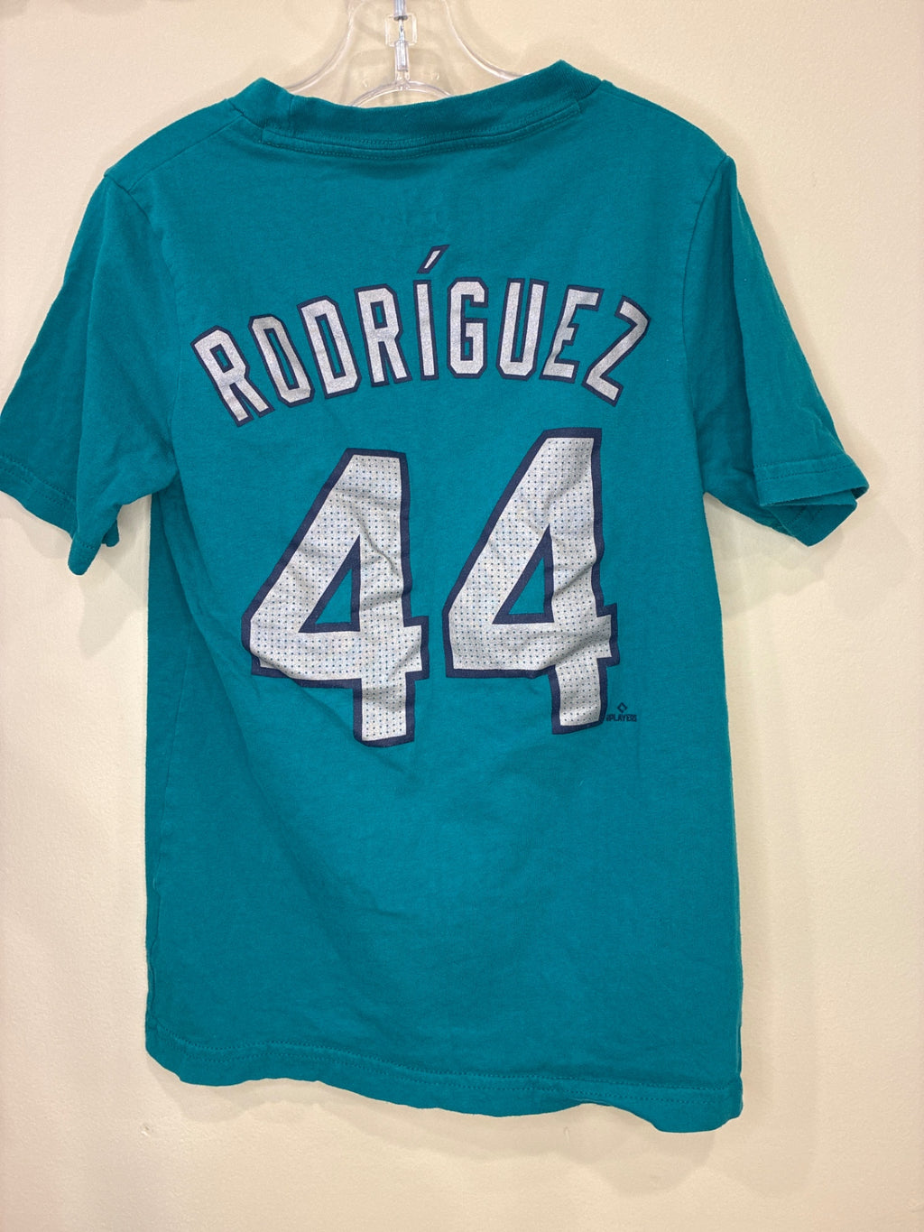 Nike T-Shirt | Size Small