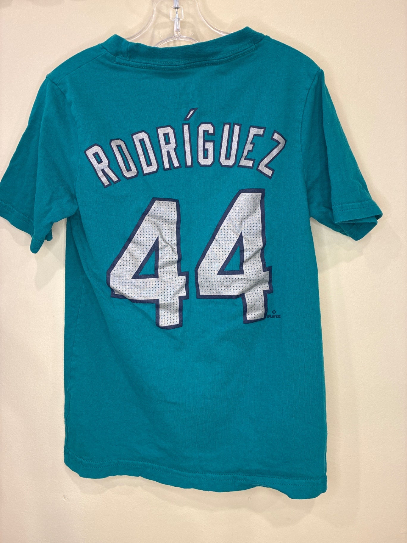 Nike T-Shirt | Size Small
