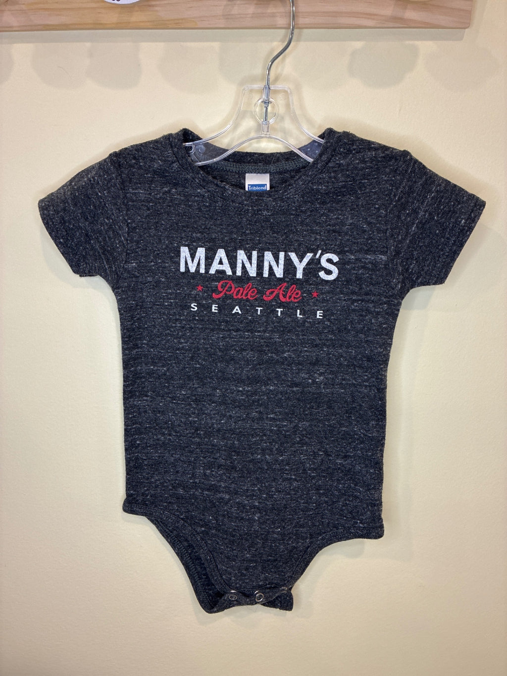 Triblend Bodysuit | Size 6-12 months