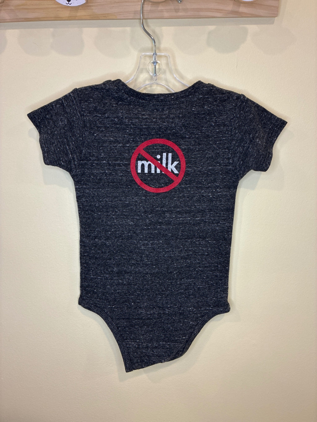 Triblend Bodysuit | Size 6-12 months