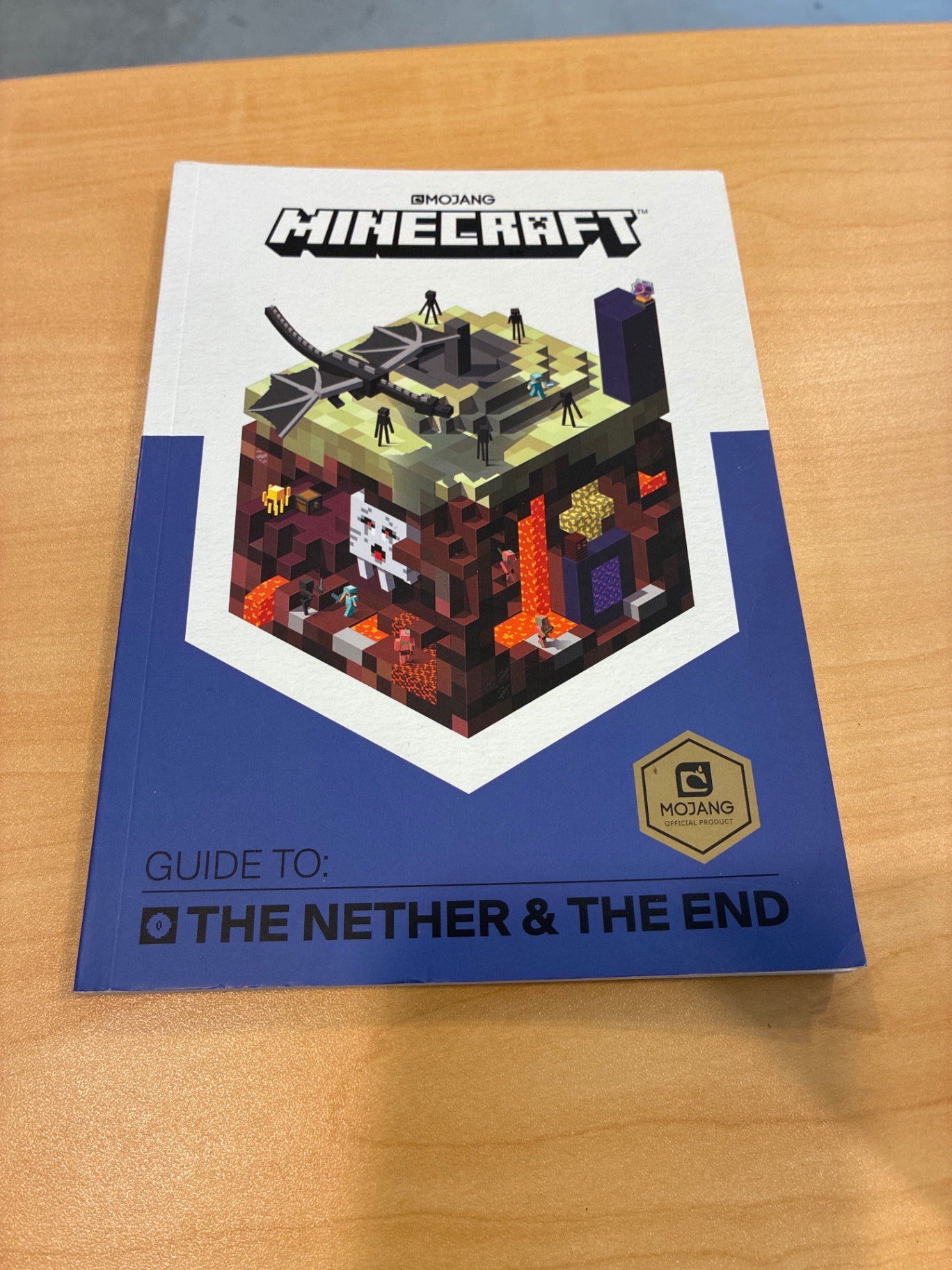 Minecraft Guide to the Nether & the End