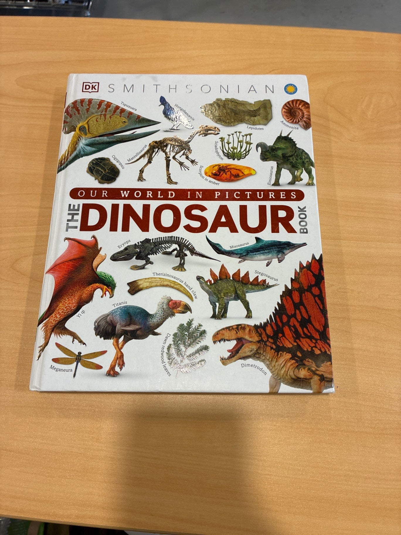 The Dinosaur Book