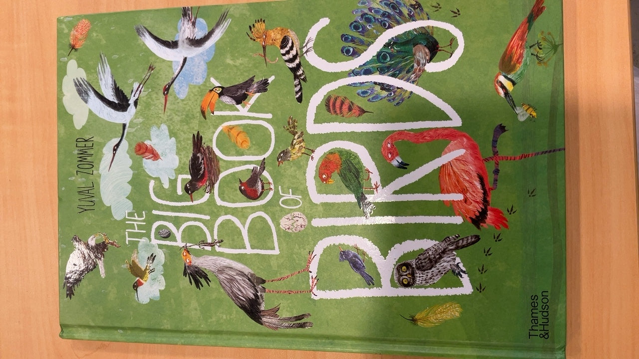 The Big Book Of Birds