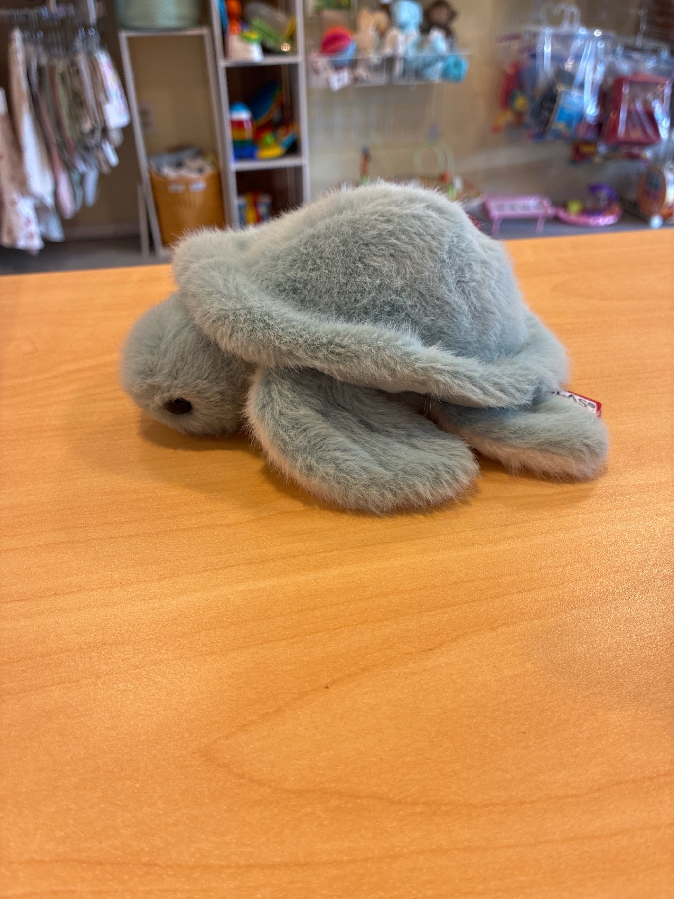 Douglas | Lil Baby Sea Turtle
