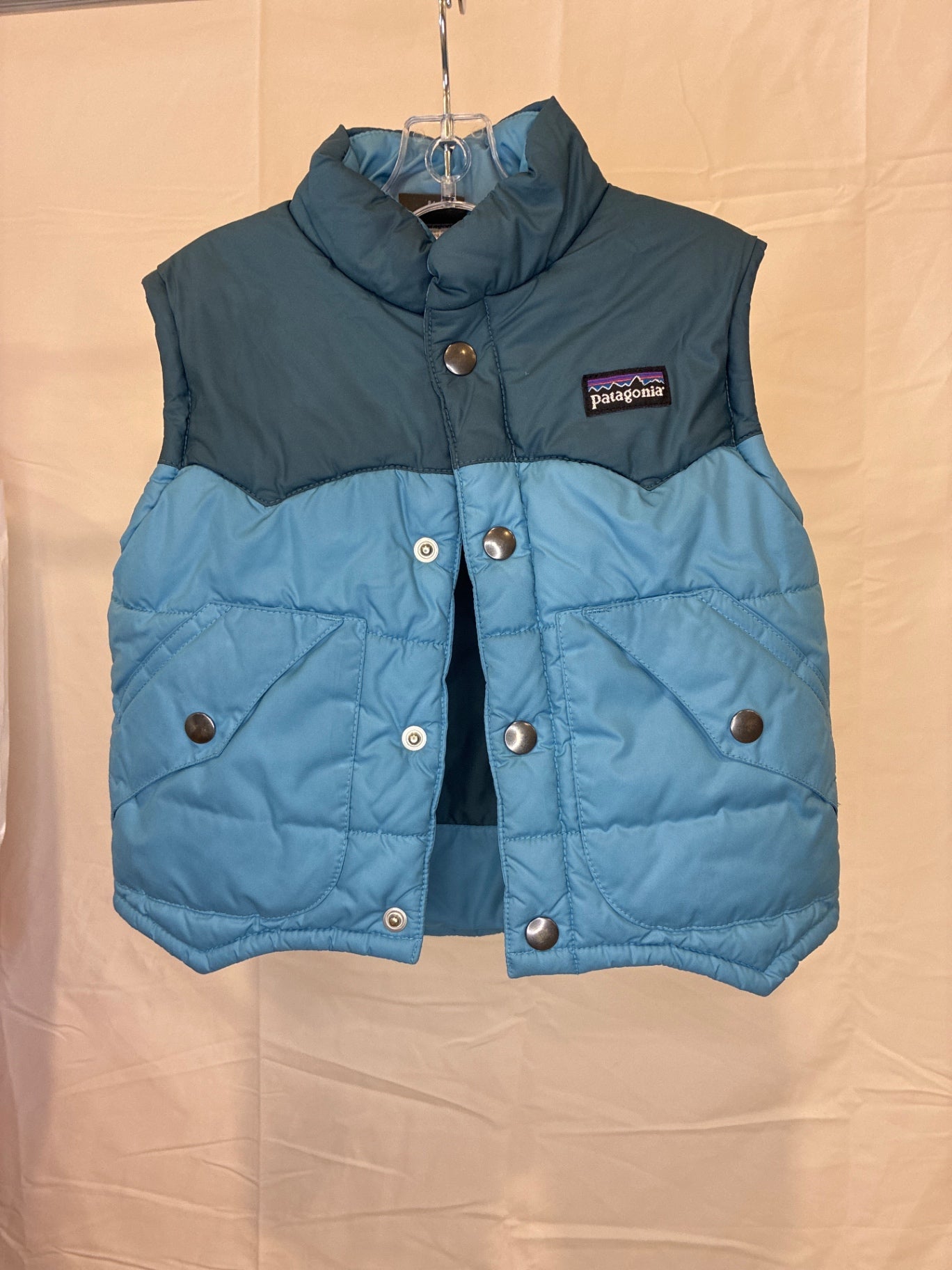 Patagonia Baby Puffer Vest | Size 24 months