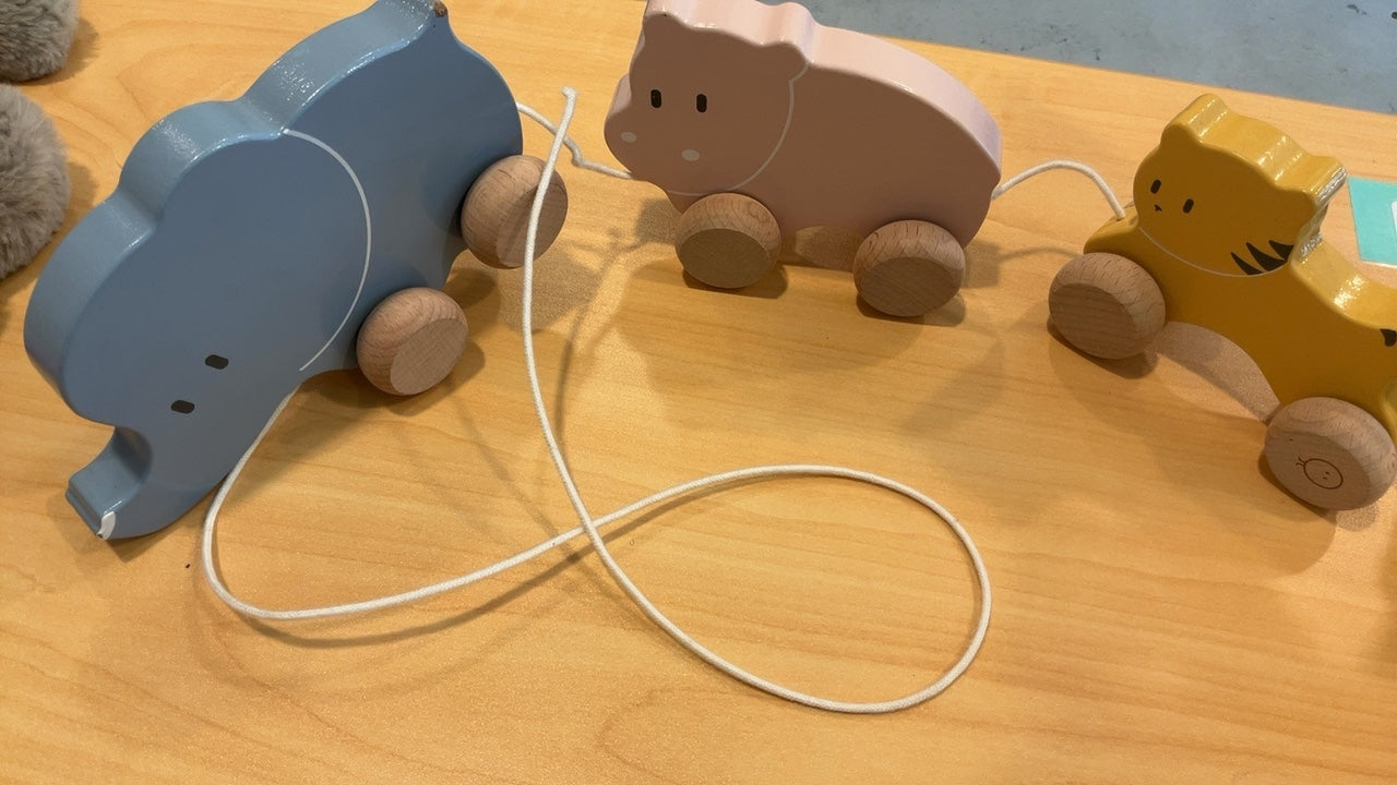 MORI Wooden Animal Pull Along Toy