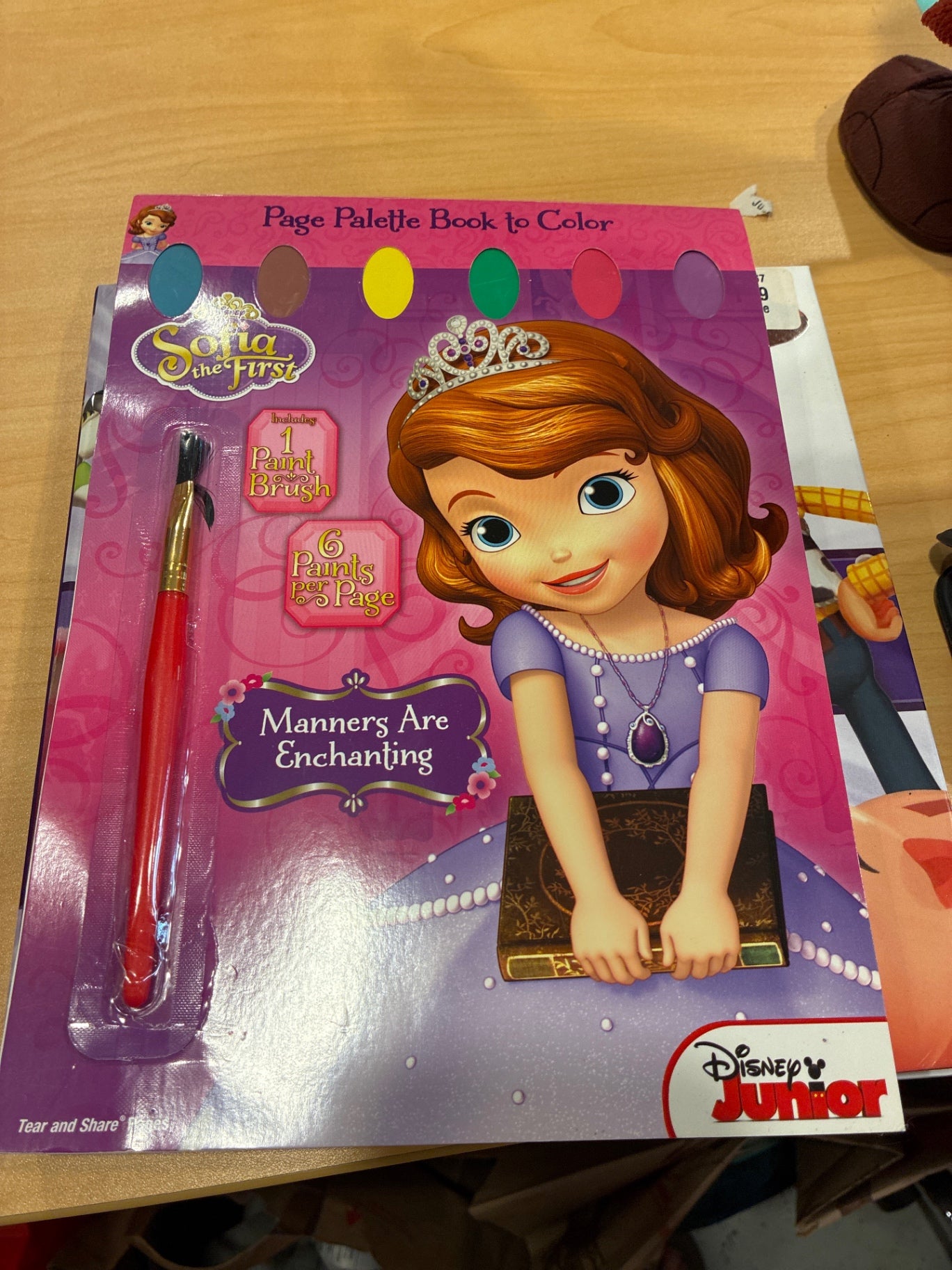 Disney | Page Palette Book
