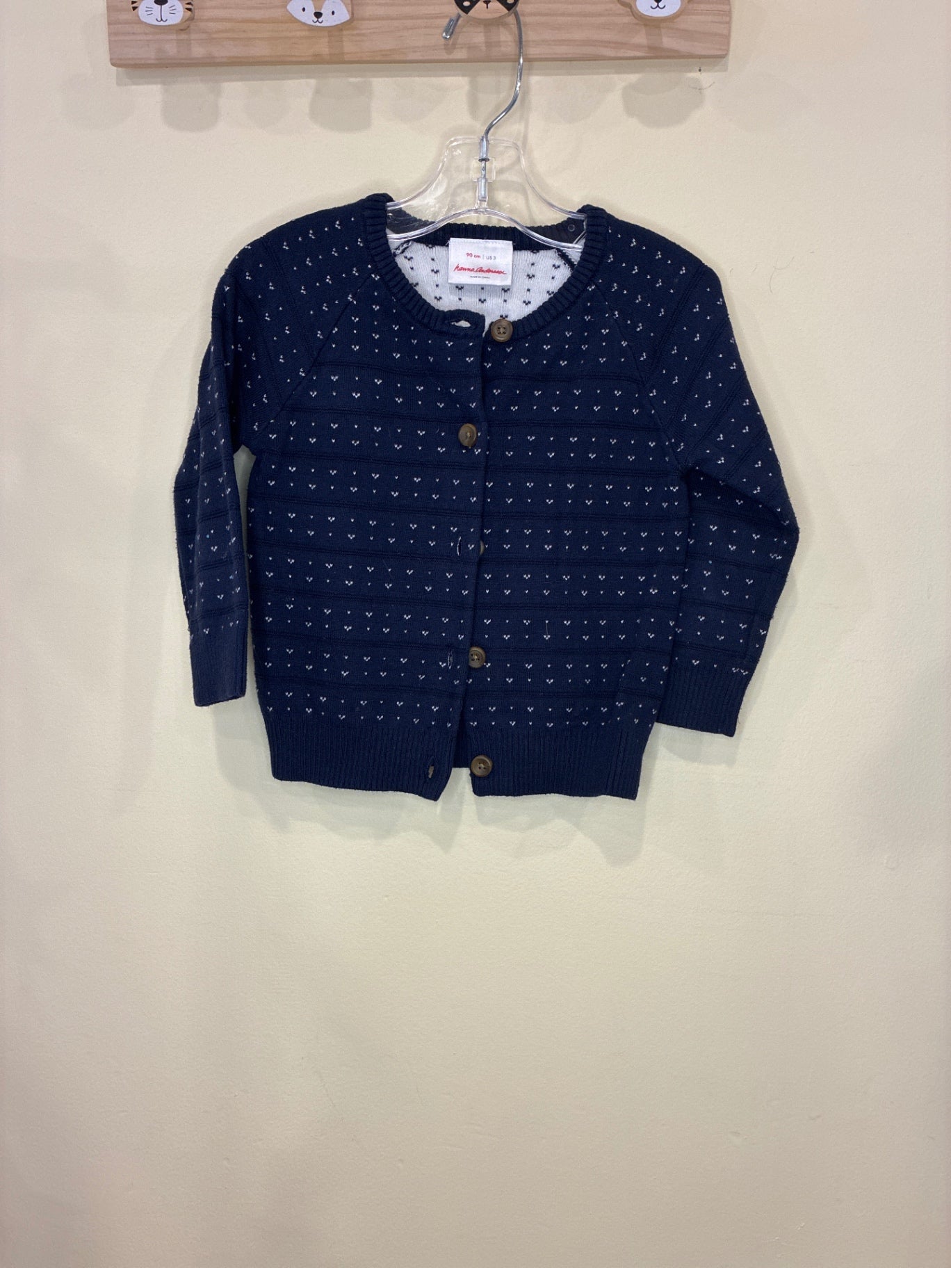Hanna Andersson Sweater | Size 3T