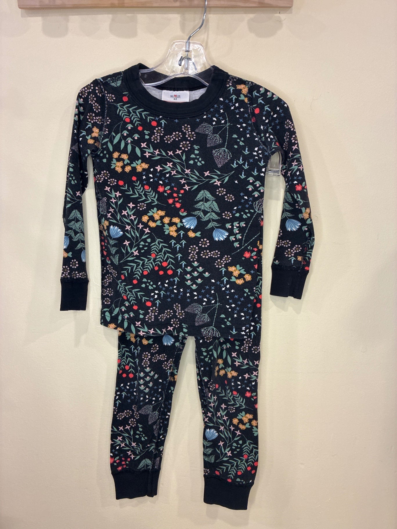 Hanna Andersson Pajamas | Size 3